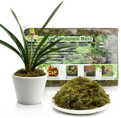 GOTVUGE Premium Sphagnum Moss, 150g Natural Moss for Orchid Potting Mix, Carnivorous Plants & Succulents, Ideal Reptile Bedding, High Water Retention & Breathable (1 pack)