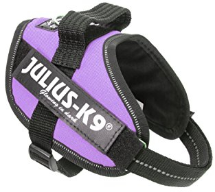 JULIUS K-9 IDC Powergeschirr, Größe: L / 1, Lila, 16IDC-PR-1