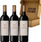 Ausás Interpretación - Envío Gratis 24 H - Vino Tinto - 3 Botellas - Ribera del Duero - Vino Regalo - Seleccionado y enviado en caja reforzada por Cosecha Privada