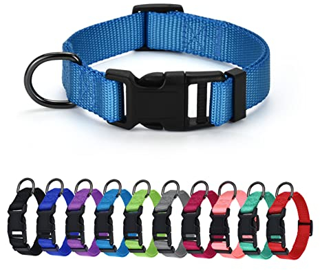 AUDWUD Dickes Nylonhalsband,klassisches verstellbares Hundehalsband in Mehreren Farben,geeignet für kleine,mittlere und große Hunde,4 Größen