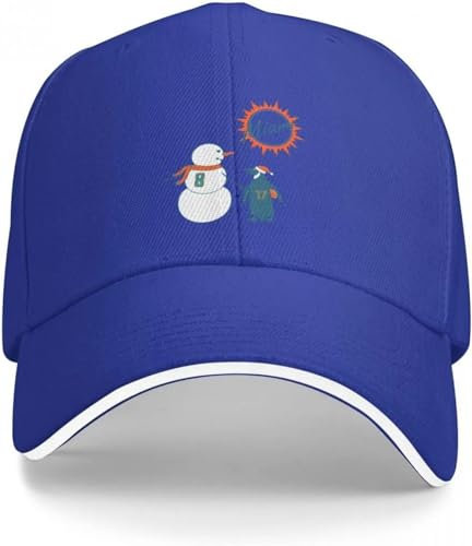 Baseballkappe Hiphop Sonnenhut A Dolphins Rookie Winter Baseball Cap Golf Hut Sport Caps Mann Caps Männer Hut Frauen