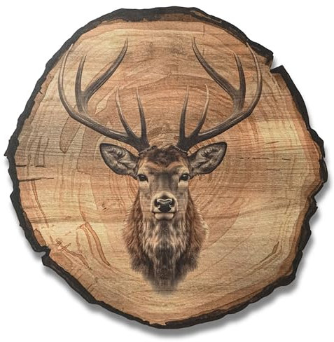 DARO Design - Wandbild Hirsch Größe 45cm - Kunstdruck aufhängefertig - Wanddekoration Thema Jagd, Natur, Tiere