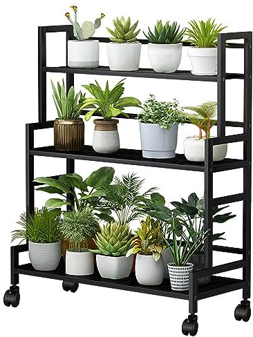 LIGUOYI Leiterregal Mit Rollen Pflanzenregal 3 Ebenen Indoor Metall Blumenregal 80×40×100cm Gestell Sukkulente Pflanze Display Rack Leiterregal Lagerregal Platzsparend Für Wohnzimmer, Balkon