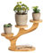 Soporte para Plantas, Estante para Plantas, estantería para Flores, para Interior y Exterior, Soporte de Mesa de Madera de 3 Niveles para suculentas, Banco de Escritorio de bambú, estantería para