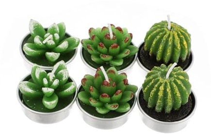 iplusmile 6Piezas Velas Suculentas Forma De Cactus Velas Aromáticas Decorativas Para Cumpleaños y Ocasiones Especiales