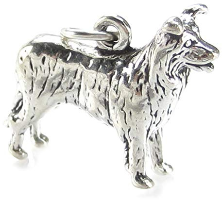 Border Collie Hund Sterling Silber Charm .925 x 1 Collies Charms Hunde.