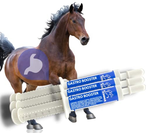 Bierhefe Pferd 3x30ml Magen Darm Booster Pferd - Probiotika Darmsanierung, Vitamin E Pferd I Hefekulturen Darmflora Aufbau Magen-Darm-Trakt I nach Kolik Kotwasser Durchfall Stoffwechsel Pferd