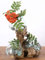 Guru-Shop Vase en Bois de Racine Exotique Avec Trois Verres - 3 xØ Verre à 10 cm, Marron, Vases Pots de Fleurs