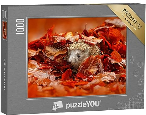 puzzleYOU: Puzzle 1000 Teile „Kleiner Igel versteckt im bunten Herbstlaub“ – aus der Puzzle-Kollektion Igel, Herbst, Himmel & Jahreszeiten, Tiere in Wald & Gebirge