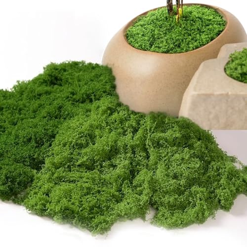 Amacoam künstliches Moos in 2 versch Farben 200g Moosdekoration Craft KunstMoos Moosbild Kunstmoos zum Basteln antiseptisches Moos für Aquariumwandgestaltung, Rasen, Bonsai