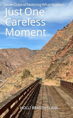 Just One Careless Moment: Seven Days of Noticing What Matters