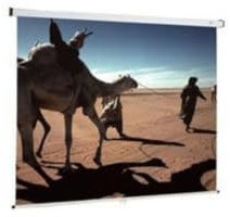 Oray Ecran Manuel 2000 Pro, 180 cm x 180 cm, Format 1:1, Blanc Mat
