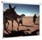Oray Ecran Manuel 2000 Pro, 180 cm x 180 cm, Format 1:1, Blanc Mat