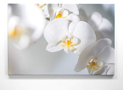 Orchideebild im Groß-Format 120x80cm, Orchidee weiß - als großes XXL Leinwandbild. Wandbild als Hintergrund und Deko für Wohnzimmer & Schlafzimmer. Aufgespannt auf Holzrahmen