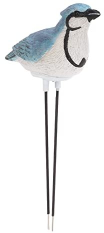 Misuratore di Umidità del Suolo, Kit di Attrezzi da Giardinaggio con Sensore Igrometro Misuratore di Umidità del Suolo Allarme di Irrigazione per Piante di Uccelli Tester del Suolo per Fioriera Avviso