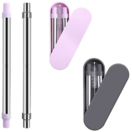 GWAWG 2 Pièces Kit de paille télescopique portable 2-en-1 en acier inoxydable-détachable et réutilisable avec étui et brosse de nettoyage