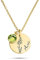 ZNA Jewels Sterling Silver Birth Flower Necklace, Personalised Pendant, Gift for Her, 925 Silver (Gold Finish)