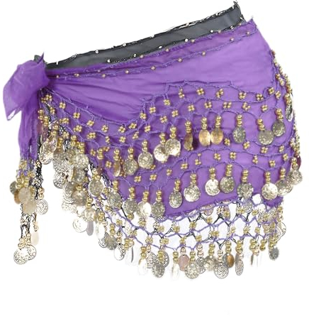 EIHI Damen Bauchtanz Gürtel, Belly Dancer,Belly Dance Outfit,Tanztuch mit Münzen für Bauchtanz, Chiffon Hüfttuch Bauchtanz Münztuch, Bauchtanz Kostüm Hüfttuch Rock, Bauchtanz Münzgürtel (Lila)