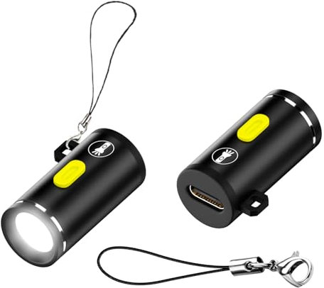 QIANRENON Lot de 2 mini lampes de poche USB C sans batterie - 5 V 1 W - Alliage d'aluminium - Coque avec cordon porte-clés - Pour camping en plein air
