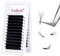 Fadlash Easy Fan Lashes C Curl 0.05 12mm Single Lashes Russian Lashes Natural Look Self Fanning Eye Lashes Automatic Blooming Russian Eyelashes Extensions(0.05-C-12)