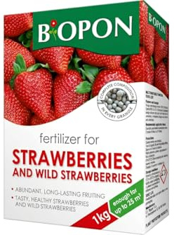 Strawberry & Raspberry Fertilizer, Garden Fruit Feed, 1kg