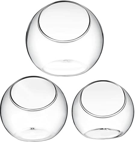 Alipis Glass Vase Set 3 Large Decorative Plant Bowls for Terrariums Home Decor Accessories