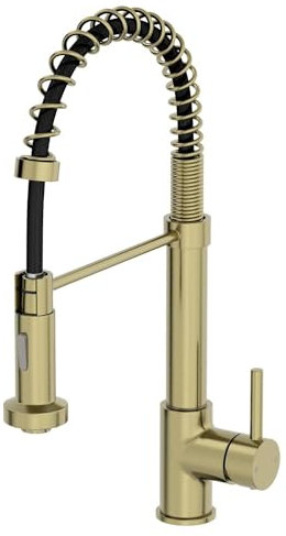 SÄUBER® Carena Kitchen Sink Mixer Tap Pull Out Spray Head Swivel Spout Brass Body Single Lever Handle for Sinks Taps Faucet Modern Round, Brushed Brass