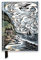 Angela Harding: Curlew Cry (Foiled Journal): The Wild Silence Foiled Journal (Flame Tree Notebooks)