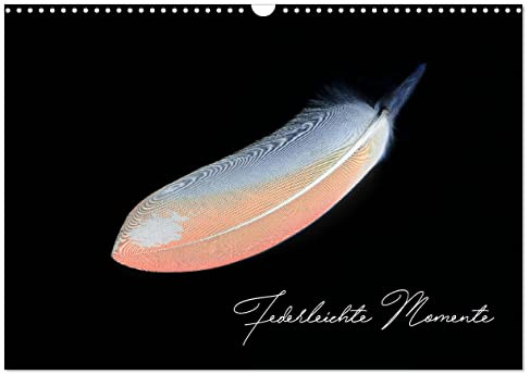 Federleichte Momente (Wandkalender 2026 DIN A3 quer), CALVENDO Monatskalender: Federn in einem anderen Licht (CALVENDO Tiere)