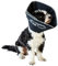 All Four Paws „The Comfy Cone“ Halskrause für Haustiere,Small 14 cm