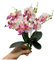 Lot de 4 bouquets de fleurs artificielles tropicales 28 cm,Mini orchidée papillon avec de fleurs en soie et feuilles d'orchidée phalaenopsis,Arrangement de feuilles artificielles pour mariage(Blanc)