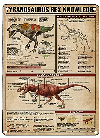 30 x 20 cm, Tyrannosaurus Rex Wissen, Metallschilder, Anatomie, Infografik, Poster, Wanddekoration, Bauernhof, Dekoration, Heimdekoration, Garage, Druck Plaketten