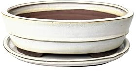 Macetas de cerámica esmaltada para bonsái con bandejas de goteo a juego (crema, 26 cm)