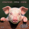 Piggies/Schweinchen 2019: Kalender 2019 (Artwork Edition)