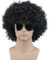 karlery Herren und Damen Afro Kurz Lockige Schwarz Perücke 70er 80er Jahre Rocker Kalifornien Halloween Kostüm Cosplay Party Perücke