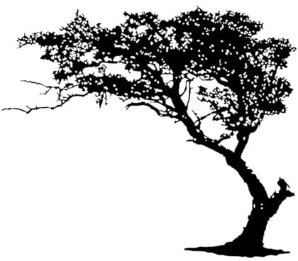 Sticker mural en pin amovible pour salon, style grand arbre, vinyle créatif-S-108x132cm-Black