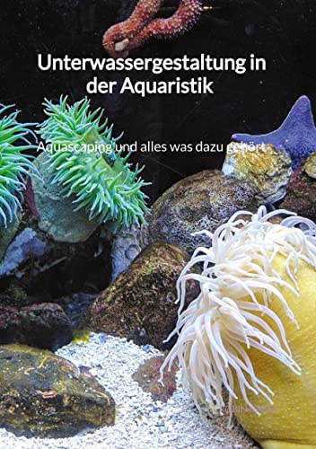 Unterwassergestaltung in der Aquaristik - Aquascaping und alles was dazu gehört
