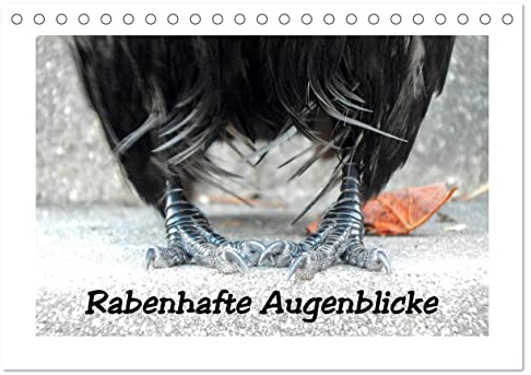 Rabenhafte Augenblicke (Tischkalender 2026 DIN A5 quer), CALVENDO Monatskalender: Rabenvögel auf Tuchfühlung, dem Glücksraben auf die Krallen geschaut (CALVENDO Tiere)