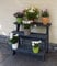 Promadino Blumentreppe Anja