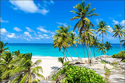 Muralo Fototapete Strand 300 x 450 cm Vlies Tapete Wandtapete Ozean Himmel Palmen Wohnzimmer Schlafzimmer Moderne Wandbilder XXL Natur Panorama Wasser Wand Dekoration