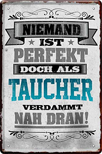 WOGEKA ART Retro Blechschild - Niemand ist perfekt, doch als Taucher - witziger Spruch als Geschenk-Idee zum Geburtstag Weihnachten Dekoration 20x30 cm Vintage-Design Metall 652