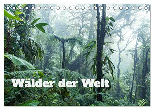 Wälder der Welt (Tischkalender 2026 DIN A5 quer), CALVENDO Monatskalender: Exotische grüne Wälder aus aller Welt (CALVENDO Natur)