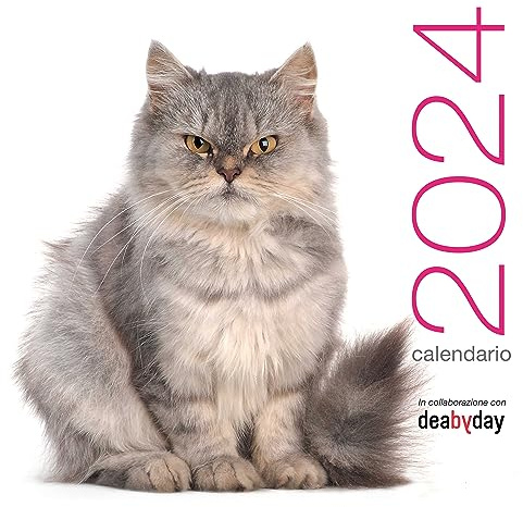 Gatti. Calendario da muro 2024