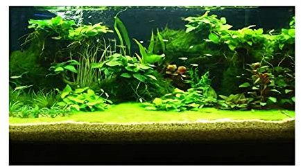 PENKOHOME 3D Prints Aquarium Underwater Backdrop Image Decor Fish Tank Background Poster for Aquarium Fish Tank