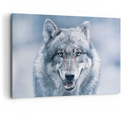 Wandbilder Dekoration Wohnzimmer Wolf Raubtier Wildheit Bilder auf Leinwand 120x80cm Leinwandbild Schlafzimmer Küche Deko Wand Kunstdruck Art Groß XXL Wanddeko Bild Wall Decor Canvas AA120x80-5073