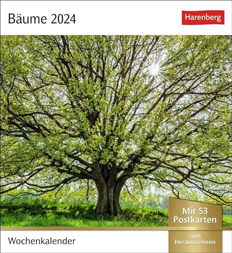 Postkartenkalender Bäume - Kalender 2024 - Harenberg-Verlag - Wochenkalender mit 53 heraustrennbaren Postkarten - 16 cm x 17,5 cm