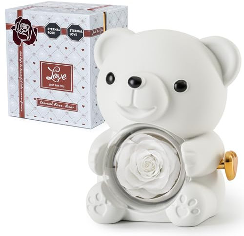 Ariceleo White Teddy Bear with Preserved Rose, Real Rose Flower in Bear, Elegant Gift Box, Heart-Shaped Necklace, Unique Gift for Valentine's Day, Mother's Day, Wedding, Anniversary, Bridal Showers