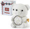 Ariceleo Bianco Orsetto Romantico con Rosa Preservata, Vera Rosa nel Peluche, Elegante Scatola Regalo, Collana a Forma di Cuore, Regalo Romantico Perfetto per San Valentino Festa della Mamma Matrimoni