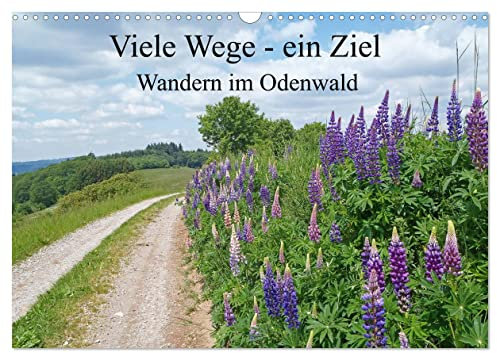 Viele Wege - ein Ziel Wandern im Odenwald (Wandkalender 2026 DIN A3 quer), CALVENDO Monatskalender: Der Geo - Naturpark Odenwald besticht durch eine ... Wiesen, Tälern und Anhöhen.. (CALVENDO Orte)