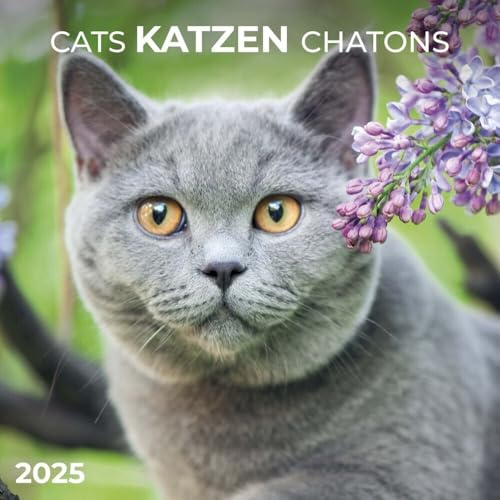 Cats/Katzen 2025: Kalender 2025 (Artwork Edition)